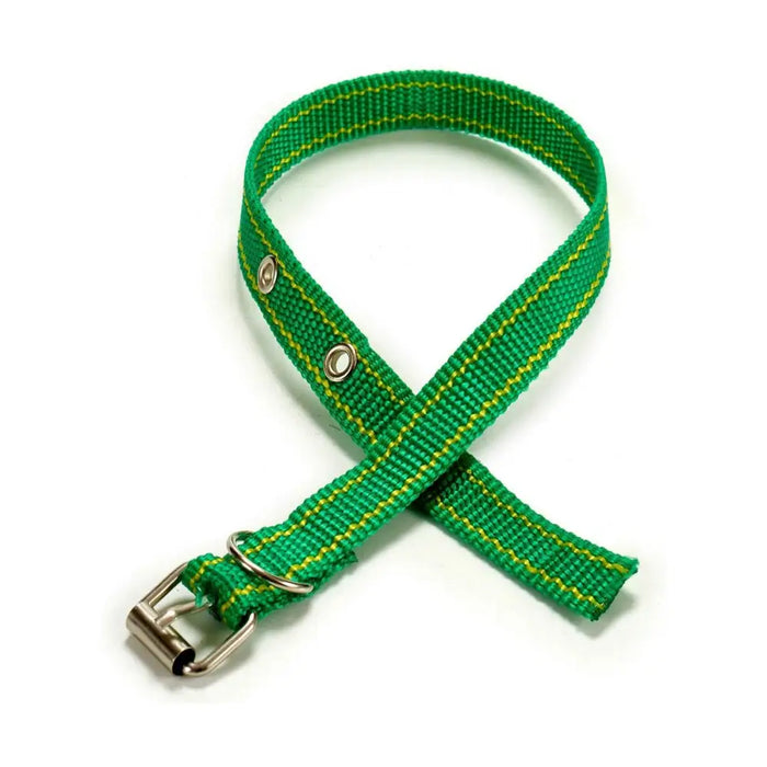 Кучешки Нашийник Mascow AR1807078 AR1807078 0,3 x 42 x 2 cm