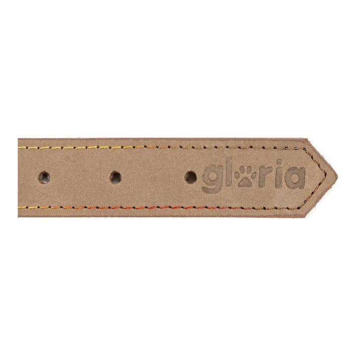 Кучешки Нашийник Gloria Oasis Бял (45 x 1,8 cm)