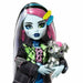 Кукла Бебе с Аксесоари Monster High Frankie Stein