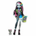 Кукла Бебе с Аксесоари Monster High Frankie Stein