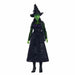 Кукла Mattel Elphaba