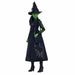 Кукла Mattel Elphaba
