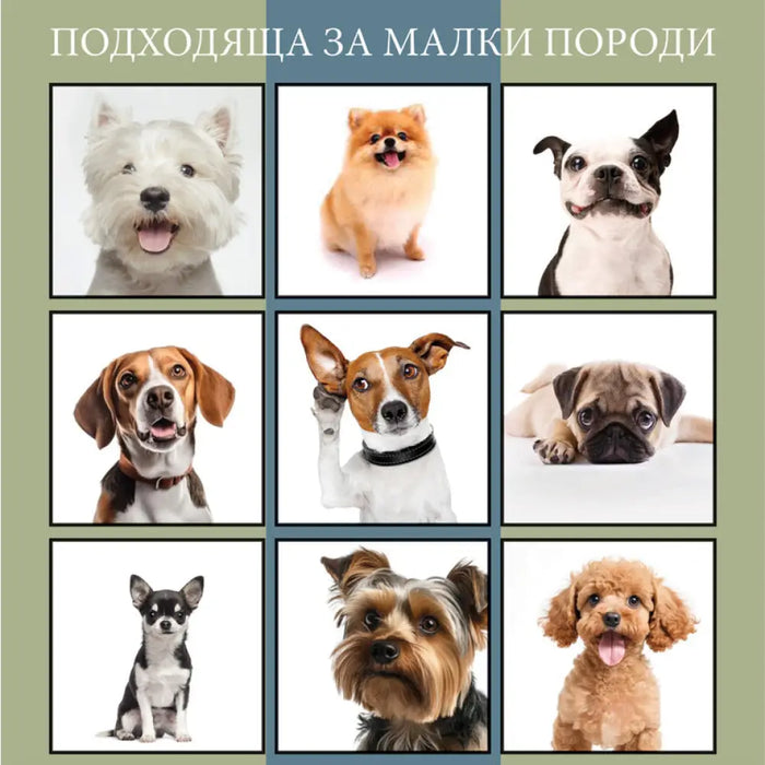 КЪЩА ЗА КУЧЕ GARDEN STAR HD-10160
