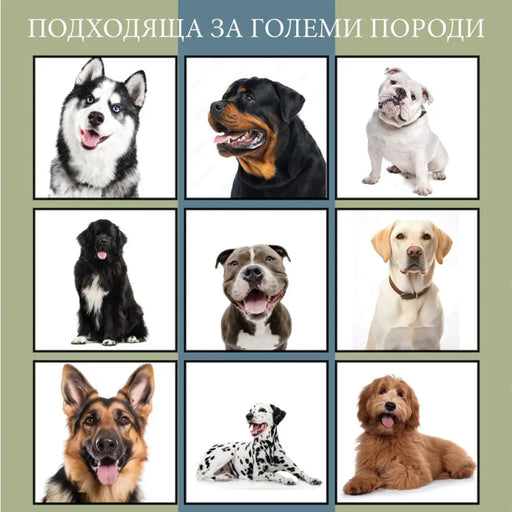 КЪЩА ЗА КУЧЕ GARDEN STAR HD-10161