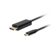 Lanberg CA-CMDP-10CU-0010-BK адаптер за видео кабел 1 m USB