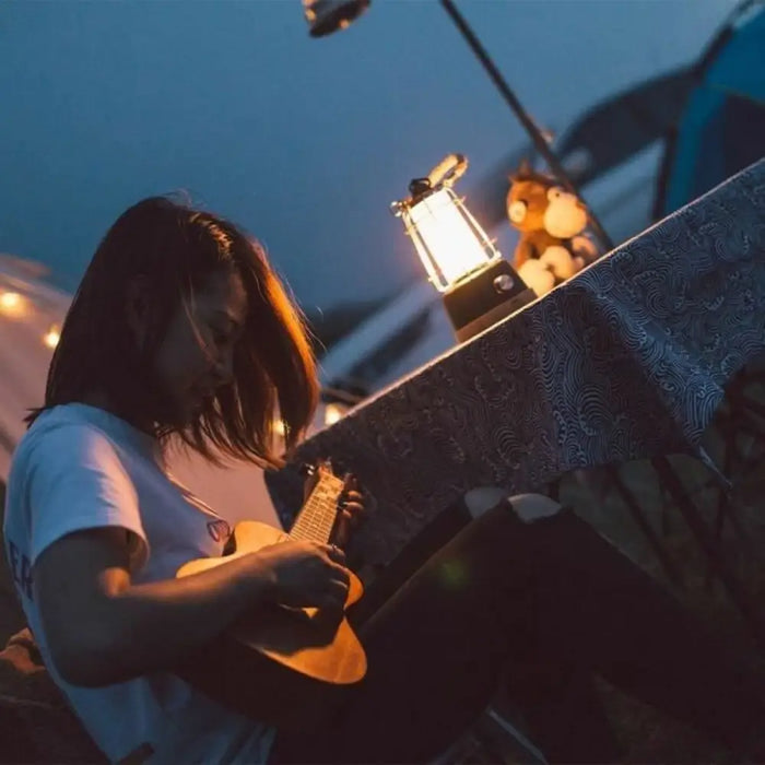 Latern Lumisky WILDY