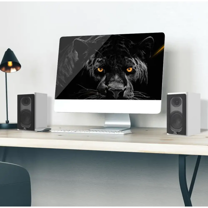 Laudberg Bluetooth компютърни високоговорители XS1W 2.0