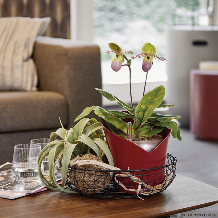 КАШПА Ф18CM С НАПОИТЕЛНА СИСТЕМА LECHUZA ORCHIDEA