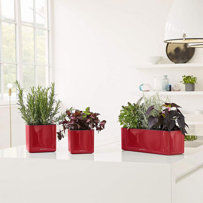 КАШПА 40X14CM С НАПОИТЕЛНА СИСТЕМА LECHUZA CUBE GLOSSY TRIPLE