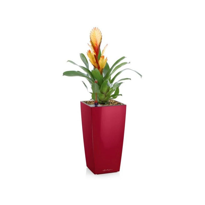 КАШПА 9.5X9.5CM С НАПОИТЕЛНА СИСТЕМА LECHUZA MINI CUBI