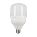 LED крушка EDM 98831 F 20 W E27 1700 Lm Ø 8 x 16,5 cm (6400