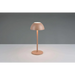 LED НАСТОЛНА ЛАМПА RICARDО 1.7W КАФЕ