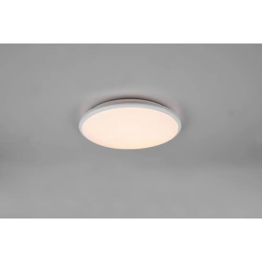 LED ПЛАФОН LIMBUS 20.5W БЯЛ
