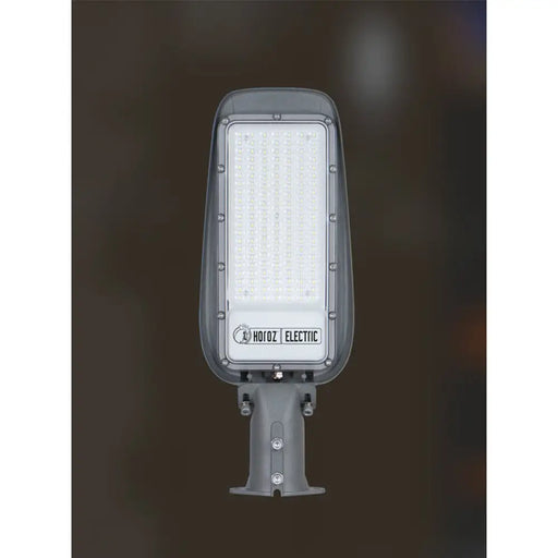 LED УЛИЧНА ЛАМПА 100W 6400K IP65 HOROZ FLORIDA