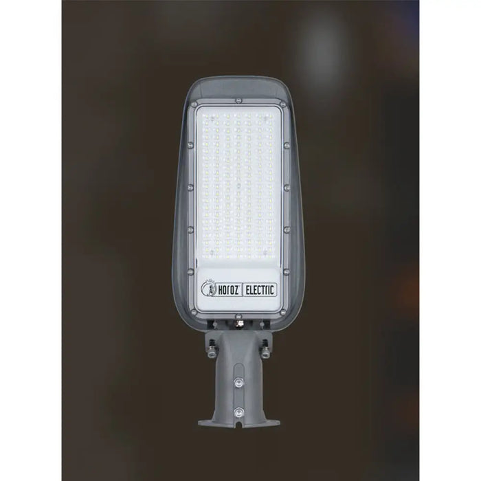 LED УЛИЧНА ЛАМПА 100W 6400K IP65 HOROZ FLORIDA
