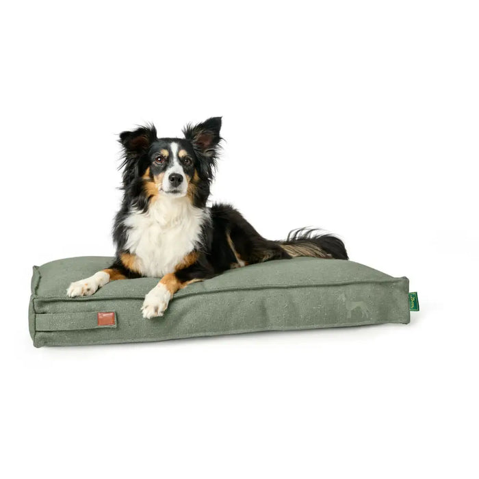 Легло за Куче Hunter Belluno Зелен 100 x 70 cm