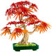 LEGO BOTANICALS 10348 Бонсай дърво от японски червен клен