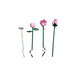 LEGO BOTANICALS 10374 Букет от розови рози
