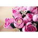 LEGO BOTANICALS 10374 Букет от розови рози