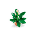 LEGO BOTANICALS 11504 Лилия на мира