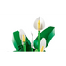 LEGO BOTANICALS 11504 Лилия на мира