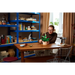 LEGO BOTANICALS 11504 Лилия на мира