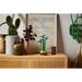 LEGO Botanicals - Lucky Bamboo 10344