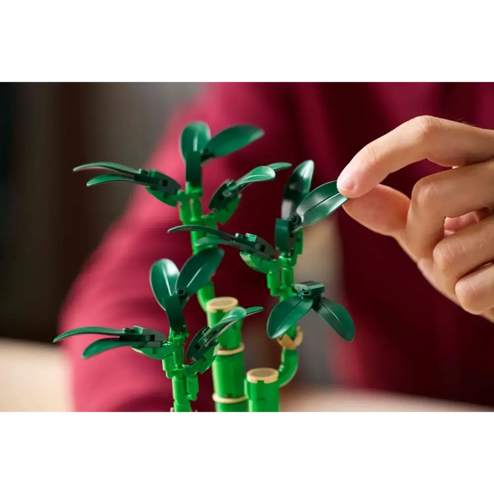 LEGO Botanicals - Lucky Bamboo 10344