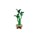 LEGO Botanicals - Lucky Bamboo 10344