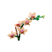 LEGO Botanicals - Mini-Orchidee 10343