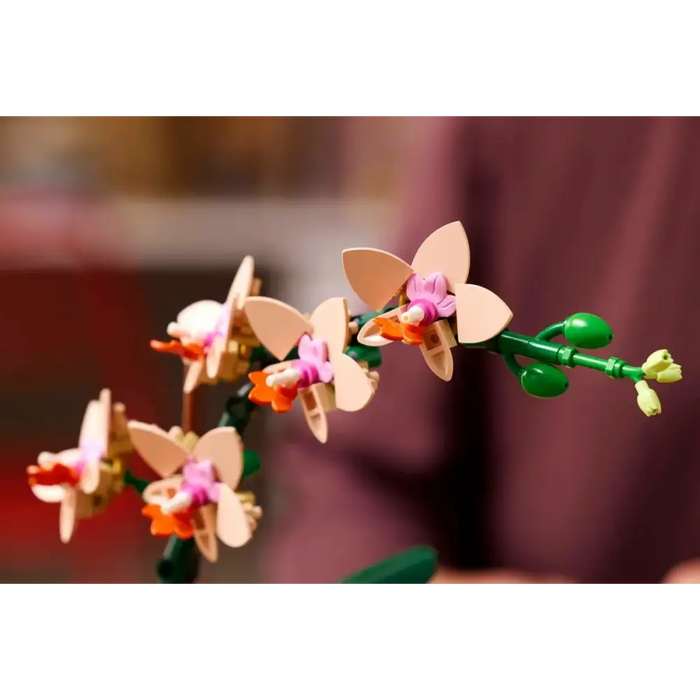 LEGO Botanicals - Mini-Orchidee 10343