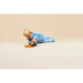 LEGO CITY 60490 Снегорин