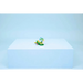 LEGO CREATOR 3 в 1 31384 Диви животни: Цветен колибри