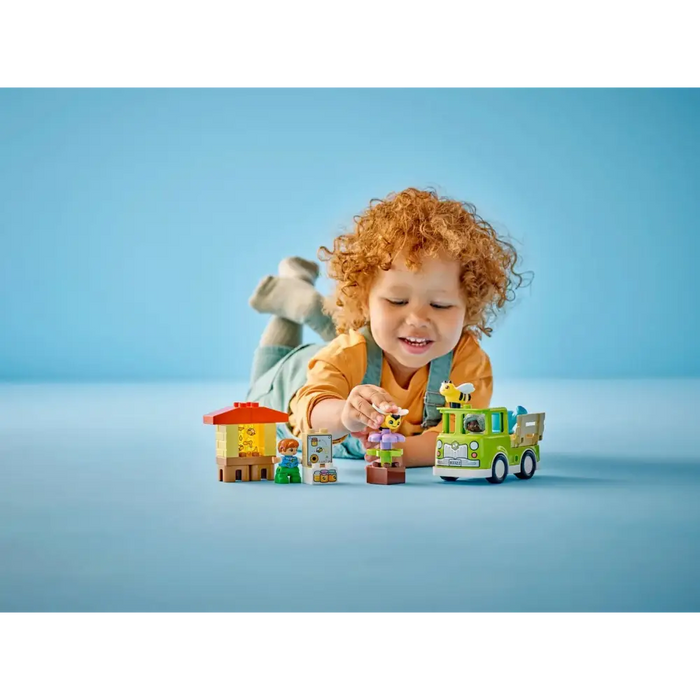 LEGO DUPLO 10419 ПЧЕЛИ И КОШЕРИ