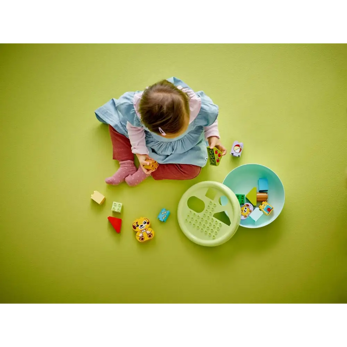 LEGO DUPLO 10441 Сортировач на форми: Къща за кученца