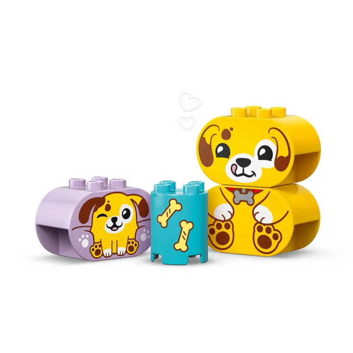 LEGO DUPLO 10441 Сортировач на форми: Къща за кученца