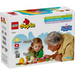 LEGO DUPLO 10452 Къмпинг
