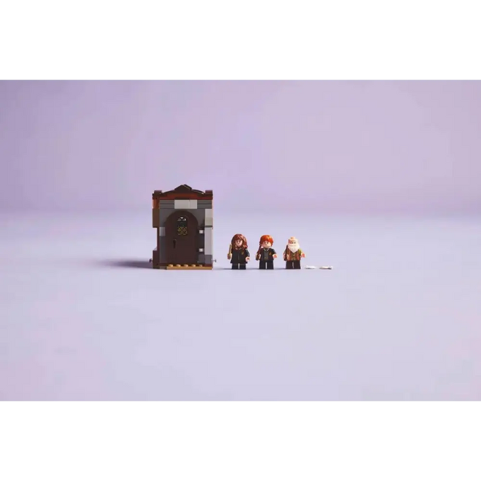 LEGO HARRY POTTER 76442 Замъкът Хогуортс - Клас по талисмани