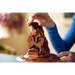 LEGO Harry Potter - Talking Sorting Hat - 76429