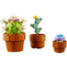 LEGO Icons - Tiny Plants - 10329