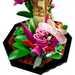 LEGO IDEAS 21342 Колекцията от насекоми