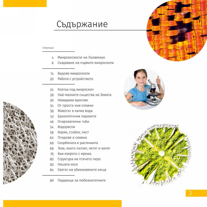 Комплект Levenhuk - Rainbow 50L PLUS, Lime + LabZZ P12 + Невидимият свят
