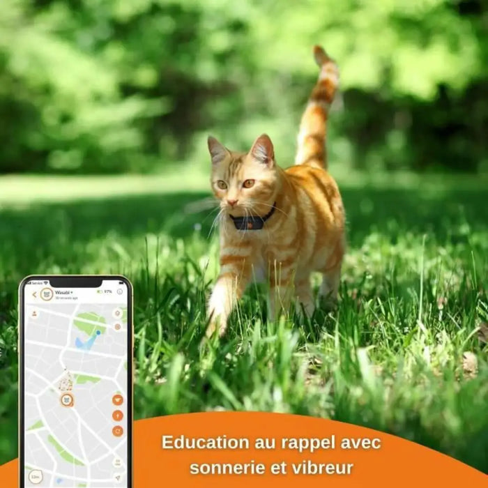Локатор против Загубване Weenect Weenect XS GPS Черен