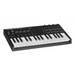 M-AUDIO Oxygen Pro Mini MIDI клавиатура 32 клавиша USB Черна