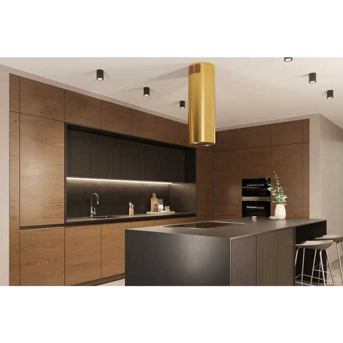 MAAN ELBA PB 31 ЗЛАТЕН ГЛАНСОВ Аспиратор