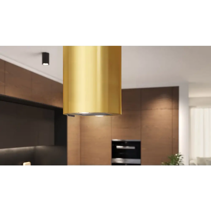 MAAN ELBA PB 31 ЗЛАТЕН ГЛАНСОВ Аспиратор