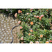 МАРКУЧ РАЗГЪВАЩ СЕ 15M 1/2’’ LIANO GARDENA 18431-20