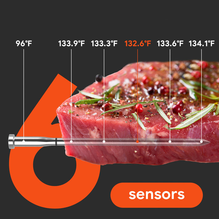 Meatmeet S Pro кухненски термометър с Bluetooth/WiFi приложение за грил, фурна, пушилня - сив