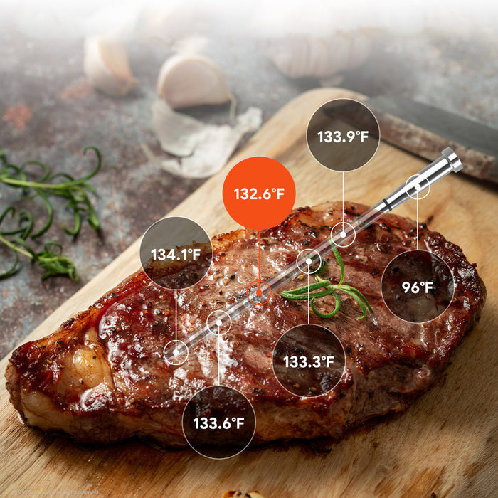 Meatmeet S Pro кухненски термометър с Bluetooth/WiFi приложение за грил, фурна, пушилня - сив