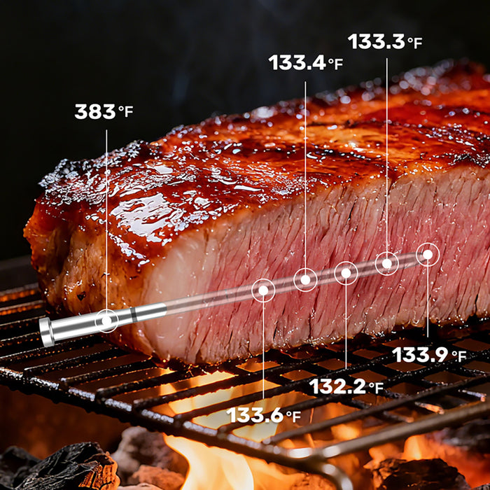 Meatmeet X Pro кухненски термометър с Bluetooth/WiFi приложение за грил, фурна, пушилня - черен